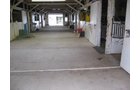 Property photo 61 - 80 Acres Offered in 4 Tracts - Horse Farm